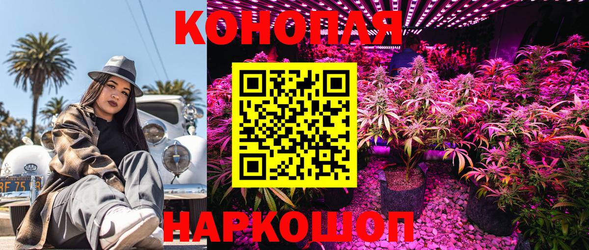 Бошки марихуана планчик Ступино